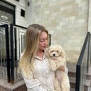 ���������� �����������, ���� ������� �����, 28 ���, ������������ ��� ������, ����� � ���������