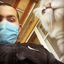 ���������� ������, ���� ������� ��������, 33 ����, ������������ ��� ������, ����� � ���������