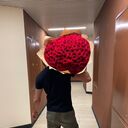 ���������� �����-���������, ���� ������� ����, 34 ����, ������������ ��� ������, ����� � ���������