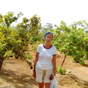  ,   , 52 ,   c 