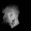  ,   Dmitry, 26 ,   ,   