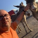 ���������� ������, ���� ������� �������, 46 ���, ������������ ��� c�������� ���������