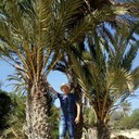  ,   , 43 ,   ,   , c 