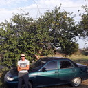 ���������� �����, ���� ������� �������, 41 ���, ������������ ��� ������, ����� � ���������, c�������� ���������