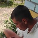 ���������� �����, ���� ������� �������, 31 ���, ������������ ��� ������, ����� � ���������