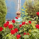  ,   , 61 ,  