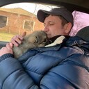 ���������� ����������, ���� ������� �������, 40 ���, ������������ ��� ������, ����� � ���������