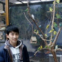  ,   , 40 ,   ,   , c 