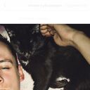 ���������� ����������, ���� ������� ������, 31 ���, ������������ ��� ������, ����� � ���������, c�������� ���������, ���������