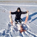 ���������� ���������, ���� ������� ���������, 29 ���, ������������ ��� ������, ����� � ���������, c�������� ���������