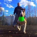 ���������� ��������, ���� ������� �����, 34 ����, ������������ ��� ������, ����� � ���������