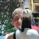 ���������� ����-���������, ���� ������� ���������, 39 ���, ������������ ��� ������, ����� � ���������