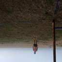 ���������� ����, ���� ������� ������, 43 ����, ������������ ��� ������, ����� � ���������, c�������� ���������