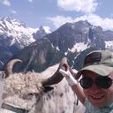 ���������� ���������, ���� ������� ������, 38 ���, ������������ ��� ������, ����� � ���������