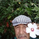  ,   , 61 ,   ,   , c 
