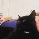  ,   , 41 ,     , c 