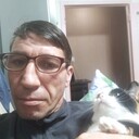 ���������� ���������, ���� ������� �������, 46 ���, ������������ 