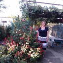  ,   , 65 ,   c 