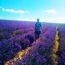 ���������� ������, ���� ������� ������, 34 ����, ������������ ��� ������, ����� � ���������