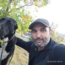 ���������� ���������, ���� ������� ���������, 45 ���, ������������ ��� ������, ����� � ���������