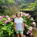  ,   , 51 ,   ,   , c 