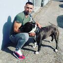 ���������� ������, ���� ������� ����, 43 ����, ������������ ��� ������, ����� � ���������, ���������