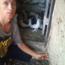  ,   Gayrat, 50 ,   