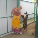 ���������� ����������, ���� ������� ��������, 43 ����, ������������ ��� ������, ���������