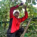  ,   Zaza, 51 ,   ,   