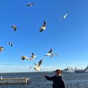 ���������� �����-���������, ���� ������� �������, 48 ���, ������������ ��� c�������� ���������