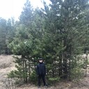 ���������� ������, ���� ������� Mukhit, 57 ���, ������������ ��� ������