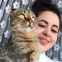  --,   , 24 ,   , c , 