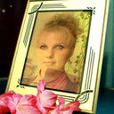 ���������� �����, ���� ������� ������, 43 ����, ������������ 