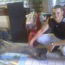 ���������� ���������, ���� ������� ������, 44 ����, ������������ ��� ������, ����� � ���������, c�������� ���������