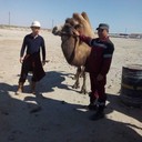 ���������� �����, ���� ������� Usen, 40 ���, ������������ ��� ������, ����� � ���������, c�������� ���������