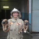 ���������� ������, ���� ������� �������, 38 ���, ������������ ��� ������, ����� � ���������, c�������� ���������