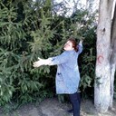  ,   , 32 ,   ,   , 