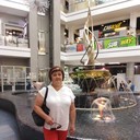  -,   , 55 ,   ,   , c 