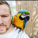 ���������� ������, ���� ������� Andrey, 51 ���, ������������ ��� ������