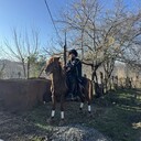  ,   Giorgi, 26 ,   ,   