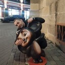 ���������� ����������, ���� ������� ������, 36 ���, ������������ ��� ������, ����� � ���������, c�������� ���������