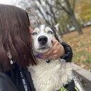 ���������� ������, ���� ������� ����, 31 ���, ������������ ��� ������, ����� � ���������, c�������� ���������