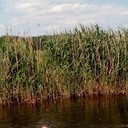  Otwock,   VOVA, 41 ,   ,   , c 