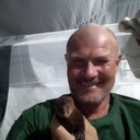  ,   , 59 ,  