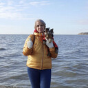  ,   , 56 ,     , c , 