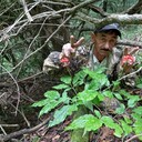 ���������� ����������, ���� ������� �������, 51 ���, ������������ ��� ������, ����� � ���������