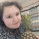 ���������� ������, ���� ������� �������, 38 ���, ������������ ��� ���������