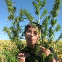 ���������� ���������, ���� ������� ������, 45 ���, ������������ 