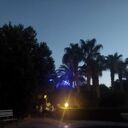 ���������� ���, ���� ������� ����, 98 ���, ������������ ��� c�������� ���������, ���������