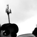 ���������� �����, ���� ������� ����, 38 ���, ������������ ��� ������, ����� � ���������, c�������� ���������